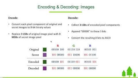 Hiding Data in Images - Project | Code in Place - Stanford University