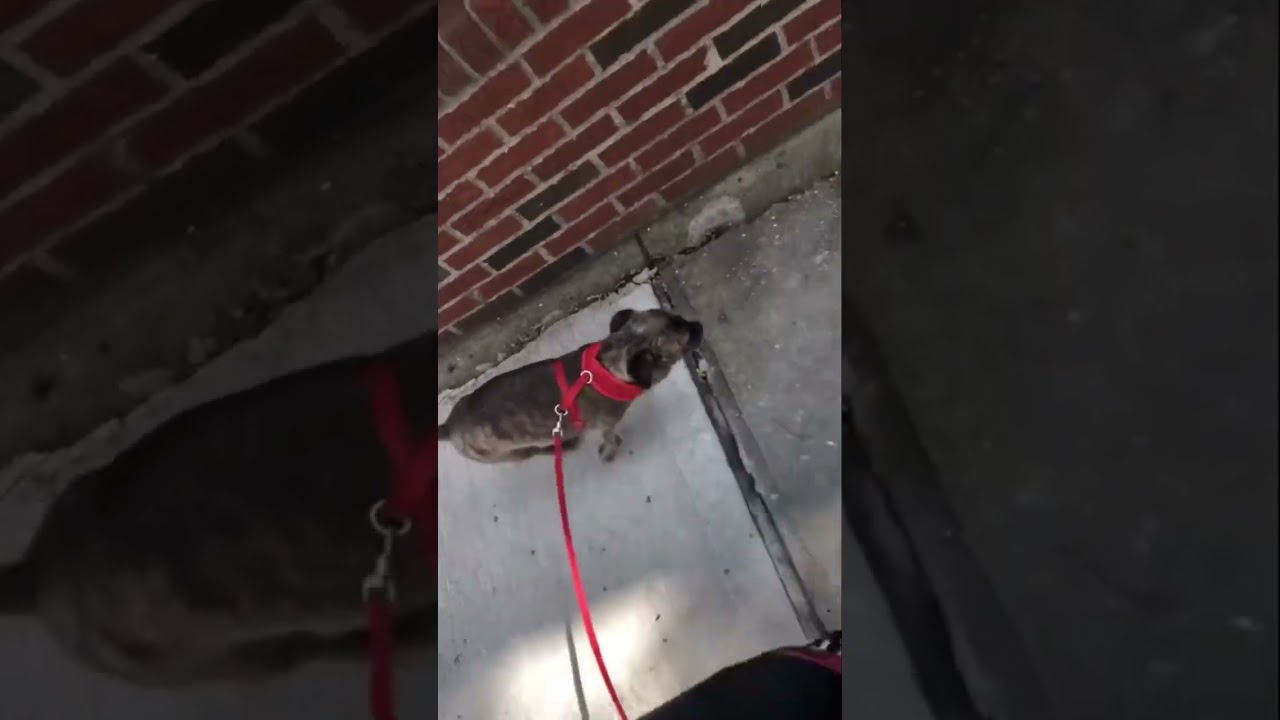 The clip clacking from her nails 