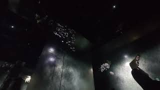 【4K】 Life and Death Cycle, Teamlabs Biovortex Kyoto | 4K ASMR POV Trip