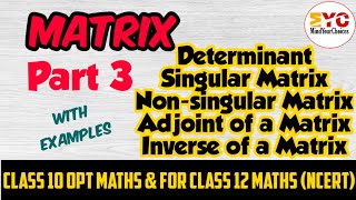 Matrix Part 3 | Determinant | singular and non-singular Matrix | Adjoint Matrix | Inverse of Matrix