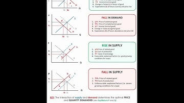 Market Equilibrium #education #trending #viral #youtubeshorts #shortsfeed #study #commerceonyourtips