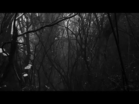 dexndre - will you walk with me here [prod. ltwj]