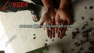 Factory Price Cashew Nut Shell Removing Machine|Kernel Cracking Shelling Equipment