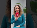 Who's Most Likely To: Presenter Edition
