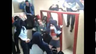 harlem shake-school bathroom style
