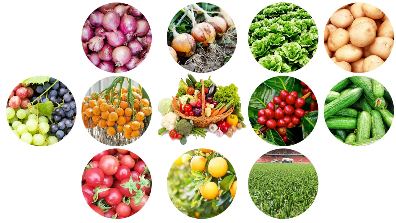 Potassium Phosphite.