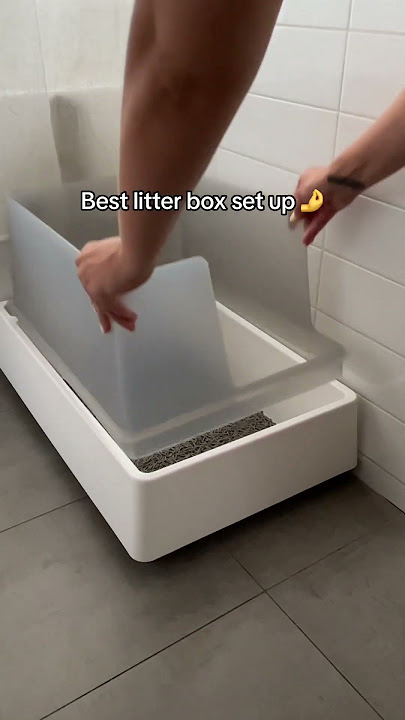 BEST Litter Box Set UP!