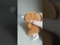 tinha 5 capivarinhas