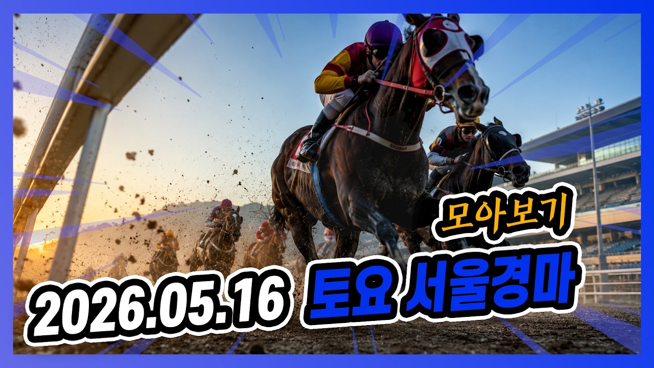 2026년 5월 16일 토요 서울경마 전체경주 모아보기