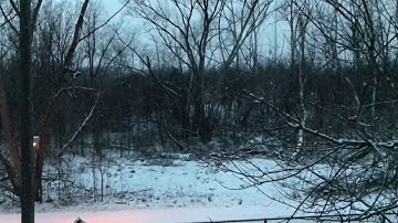 chilllwinston - désintégration (excerpt 01)