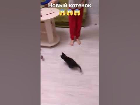 маркис - YouTube