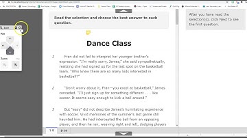 STAAR Interim Tool Practice