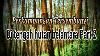 Desa tuwon slogohimo | PERKAMPUNGAN TERSEMBUNYI DI TENGAH HUTAN WONOGIRI PART 2