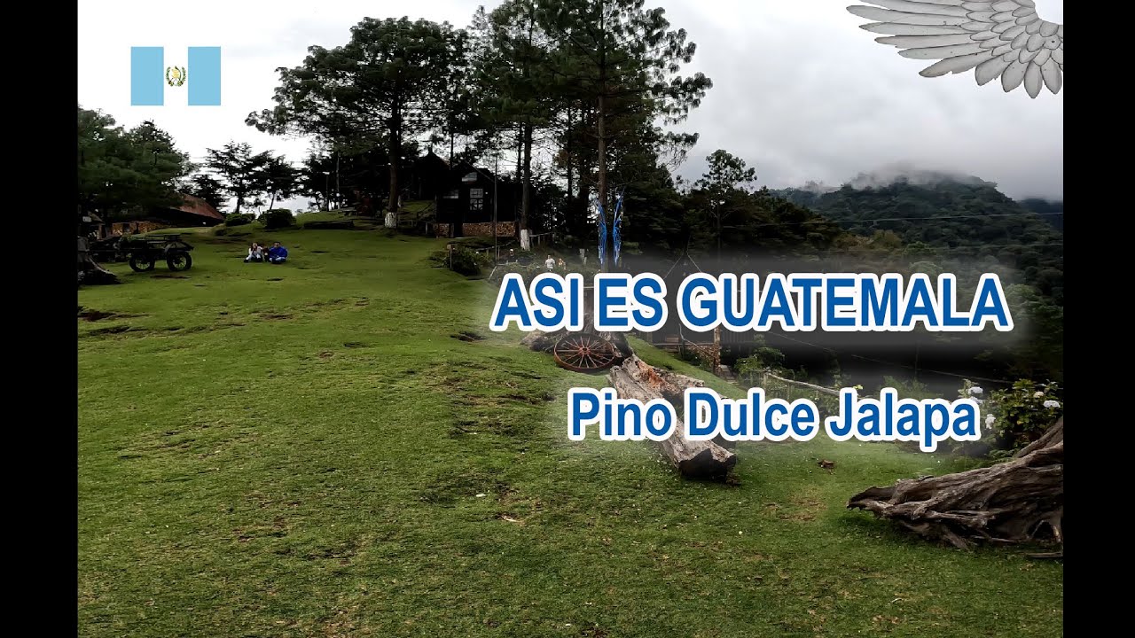 PINO DULCE UN PARAISO NATURAL EN JALAPA GUATEMALA