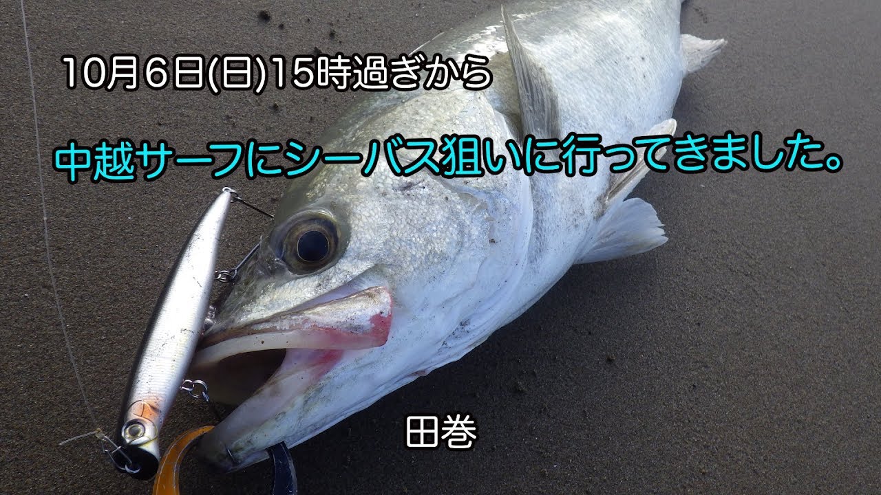 10.6 中越サーフにシーバス狙いに行ってきました。 - YouTube