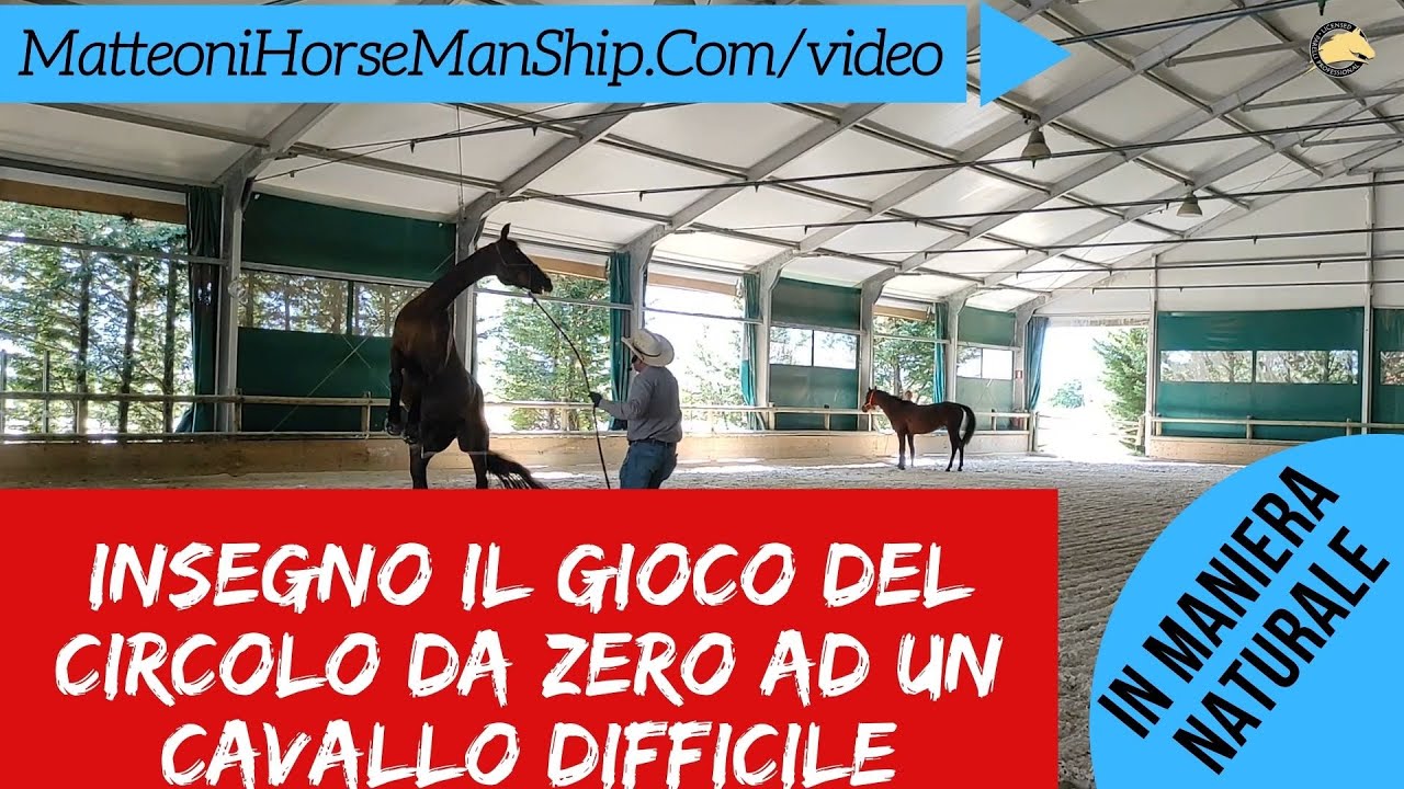 Insegno il gioco del circolo da zero ad un cavallo difficile