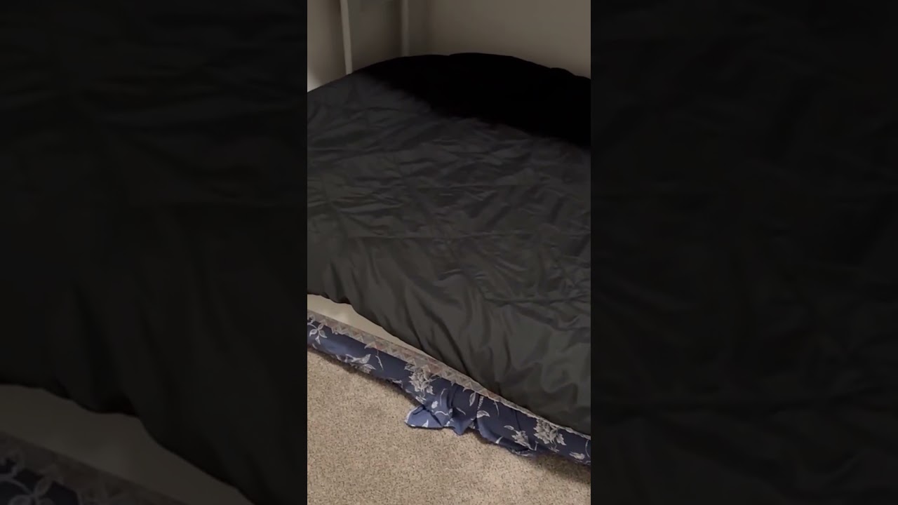 comforter bed sets black friday deals, 