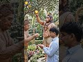 Jay bajrangbali#shortvideo #yrfmugic #Deepak Kummar awadesh