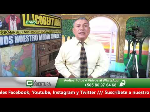 Reforestar occidente es