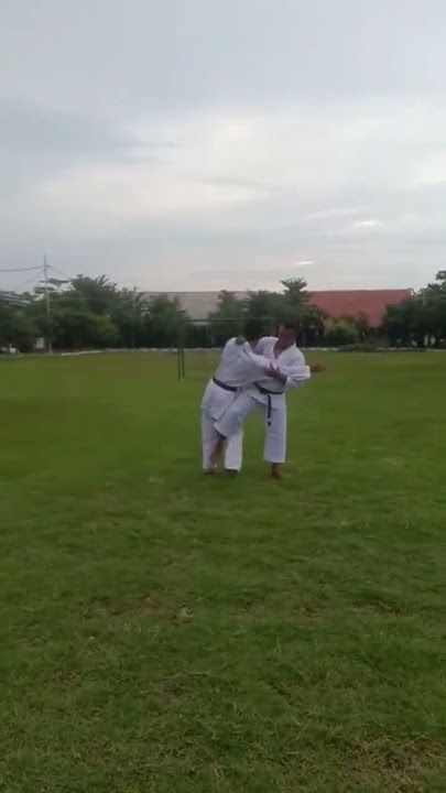 Beladiri praktis || karate Teknik