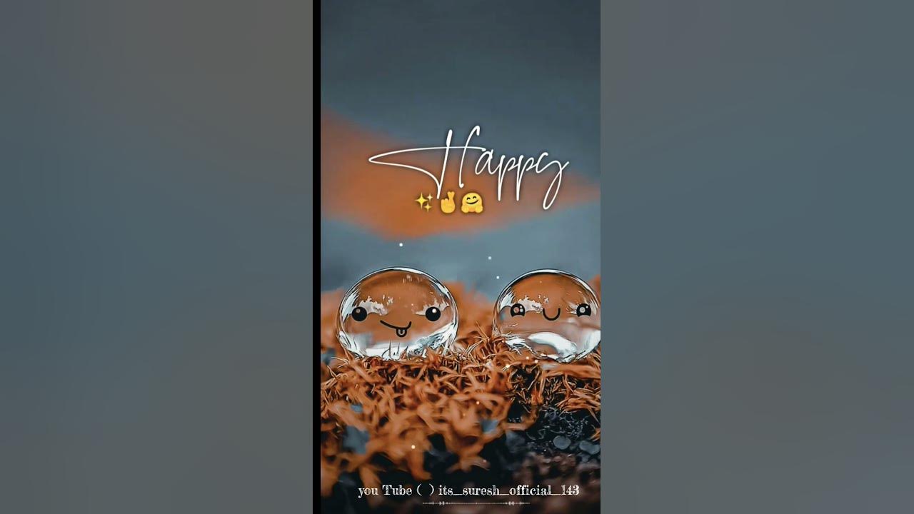 Happy Moments Status Video WhatsApp Status Video happy-moments-status-video-whatsapp-status-video