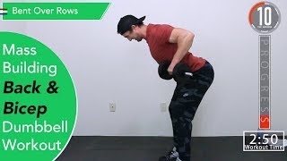 Mass Building Back and Bicep Dumbbell Workout