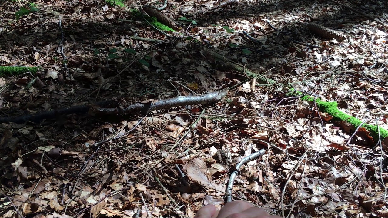 SABRINAOUTDOORS - Wildnispädagogik - Sinnesschulung Sitzplatz