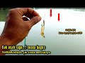 Kalau cuaca bagus seperti ini, pake udang api pun pasti disambar Barramundi