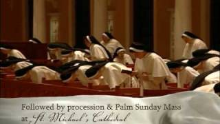 Meet the Dominicans Sisters of St. Cecilia in Toronto