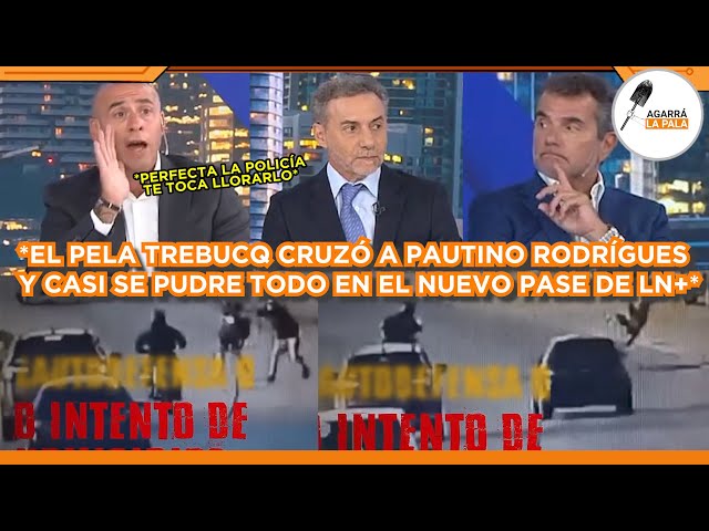 TREBUCQ CRUZÓ A PAUTINO RODRÍGUES Y CASI SE PUDRE TODO CUANDO DEFENDÍA DELINCUENTES: "ESTÁS MOLESTO"
