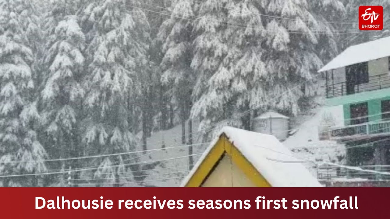 Dalhousie receives season's first snowfall YouTube