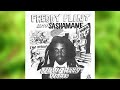Freddy Flint and Shashamane - New Green World [Full Album]
