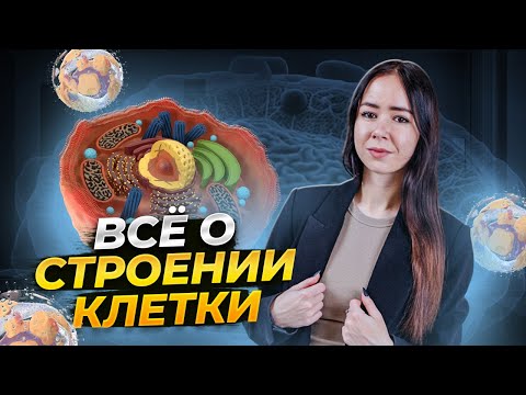 Строение клетки для