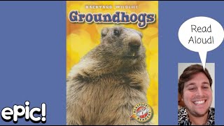 Backyard Wildlife: Groundhogs Read Aloud