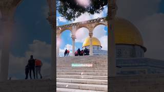 فلسطین ✨🇵🇸❤️ #shorts #duet #love #gaza #shortsfeed #palestine #feedshorts #viralvideo #ytshorts