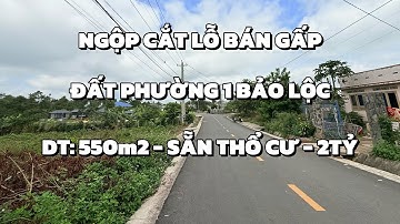 (NGƯNG BÁN) QUÁ NGỘP BÁN RẺ ĐẤT PHƯỜNG 1 BẢO LỘC 550m2 CÓ THỔ CƯ GIÁ CHỈ 2TỶ | ĐẤT BẢO LỘC