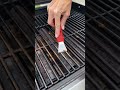 I Tested the Ultimate Grill Cleaning Kit – Worth It?#amazon #grillcleaning #bbqgrill #cleaning