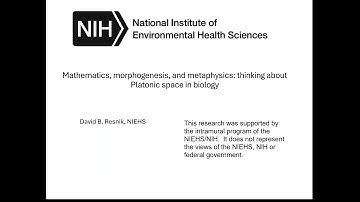 "Mathematics, morphogenesis, and metaphysics" by David Resnik