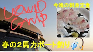 ２馬力ボート釣行VOL.24　今回初めて釣った魚でしたが、とんでもなく美味しかったのでまた釣りに行きたくなっています。