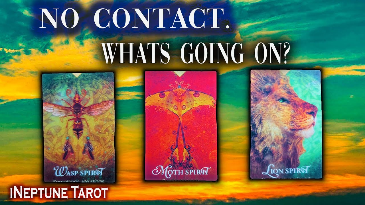 👀💔 Без контакта: Что на самом деле происходит между вами двумя? 🔮 Выберите карту (Вне времени)