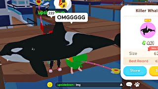 GETTING A KILLER WHALE 😱 *FISHING PROOFS* PLAY TOGETHER