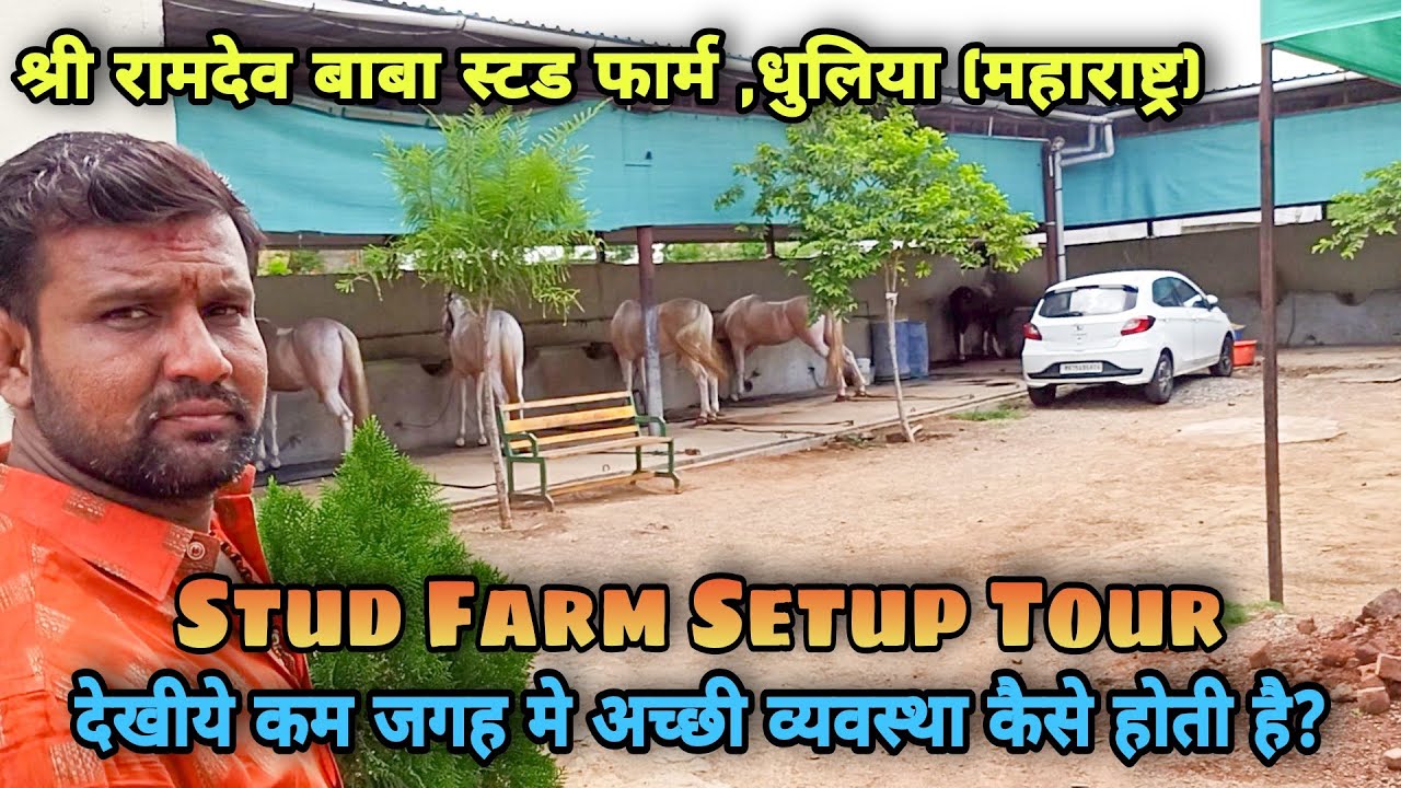 किसन आप्पा गवली,घोडेवाले । श्री रामदेव बाबा स्टड फार्म, धुलिया । Horse Farm Visit | Part 7