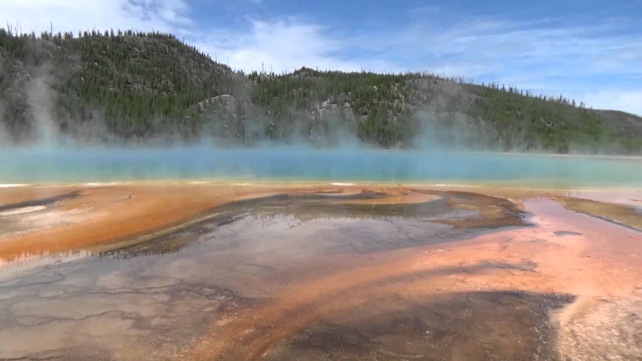 EDLD 5363 Final Project 1