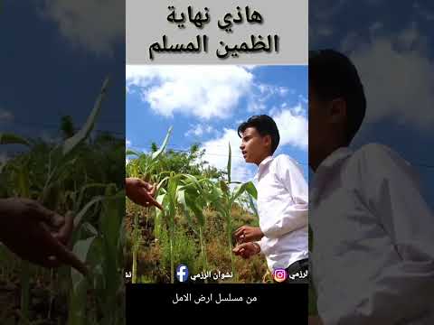 خاتمة الظمين المسلم: لمحة من دراما يمنية أصيلة