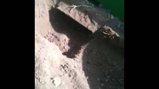 Compost trailer agitator