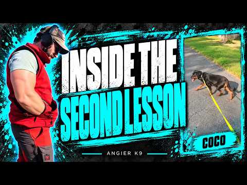 Coco’s second owner lesson