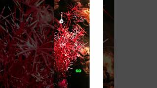 Unlock Stunning Aerochrome Photos  320 ISO   Yellow Filter Magic!