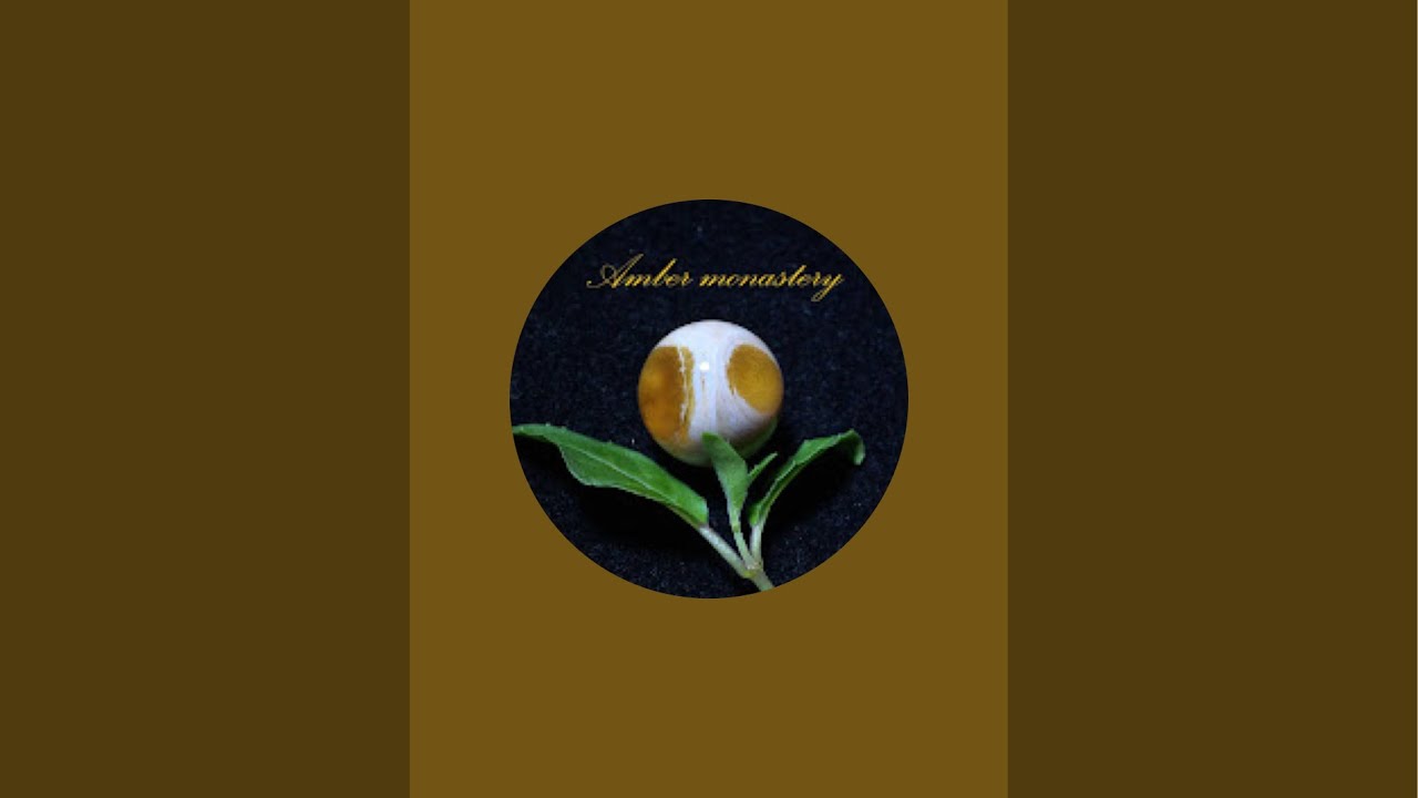 琥珀|  2026.1.8晚【Burmese amber】緬甸天然琥珀 