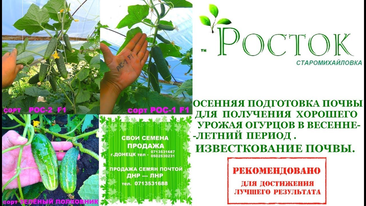 Интернет Магазин Семян Днр
