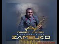 OBERT CHARI & HAKIRENI STARS_-_2023 ZAMBUKO ALBUM MIXTAPE [prod by Dj Diyah]